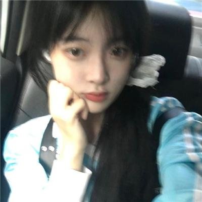 鸟与蜜蜂 在线观看